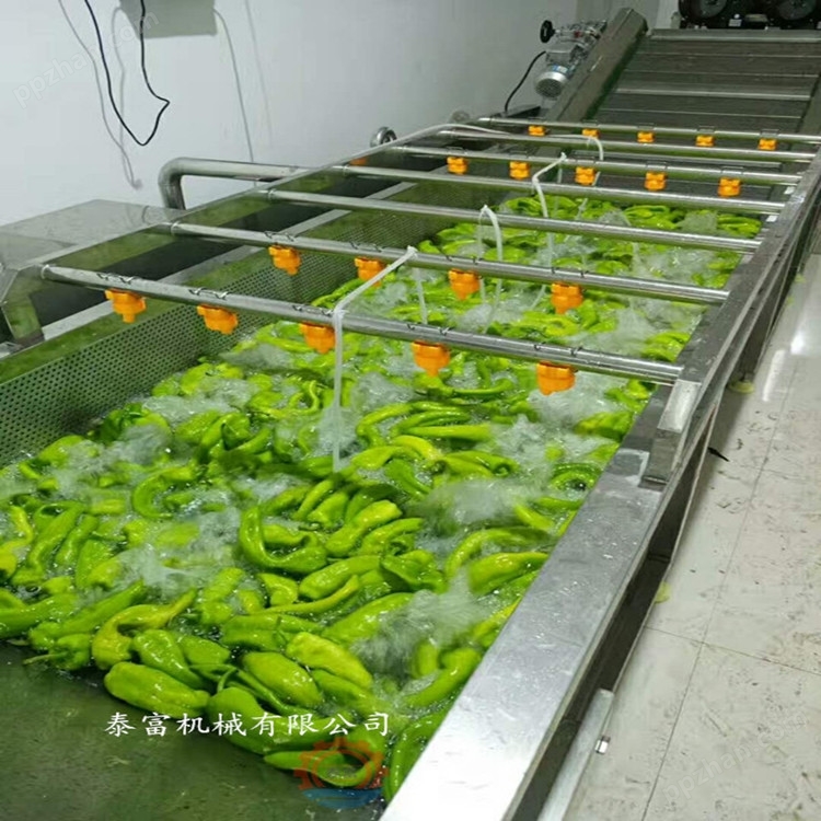 全自动蔬菜清洗机大型洗菜机食材清洗设备